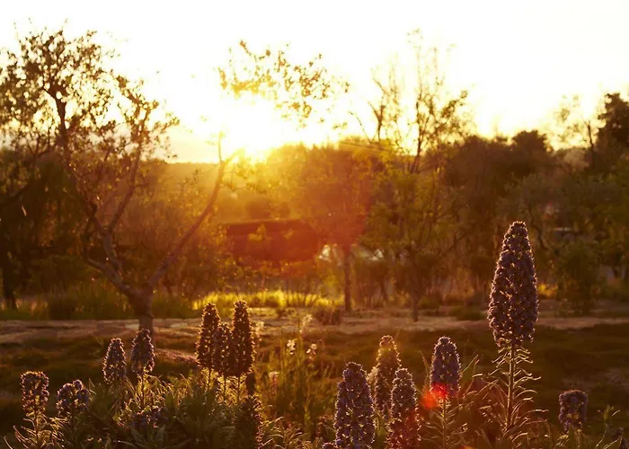 Hotel Muse Saint Tropez - Small Luxury Of The World 5*