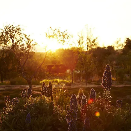 Hotel Muse Saint Tropez - Small Luxury Of The World 5*