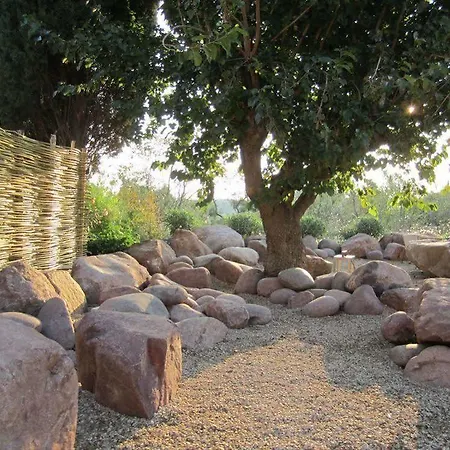 Muse Saint Tropez - Small Luxury Of The World